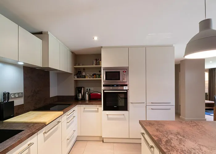 Appartement Chic Avec Sauna Et Parking Au Centre De - Fr-1-343-190 *