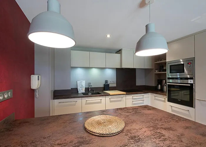 Chic Avec Sauna Et Parking Au Centre De - Fr-1-343-190 Appartement Chamonix